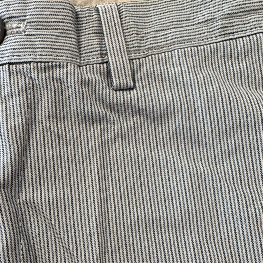 Banana republic Striped Gray blue Pants size 29 x 32
